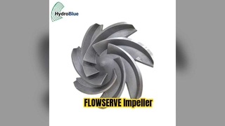 فلوسيرف المكره