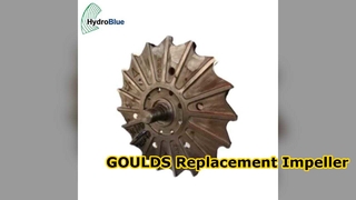 جولدز المكره