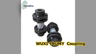 Khớp nối WUXI TRUMY